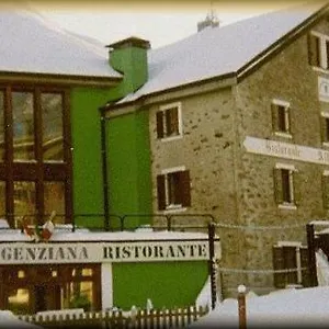 Genziana Paso Stelvio